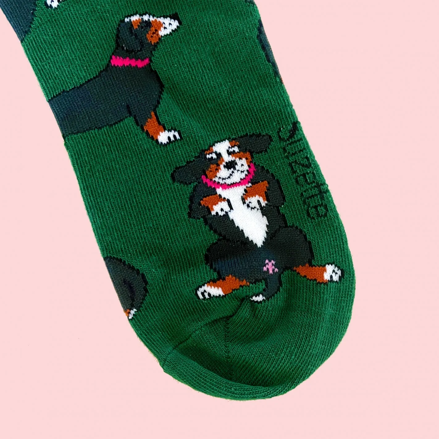 BERNESE DOG SOCKS