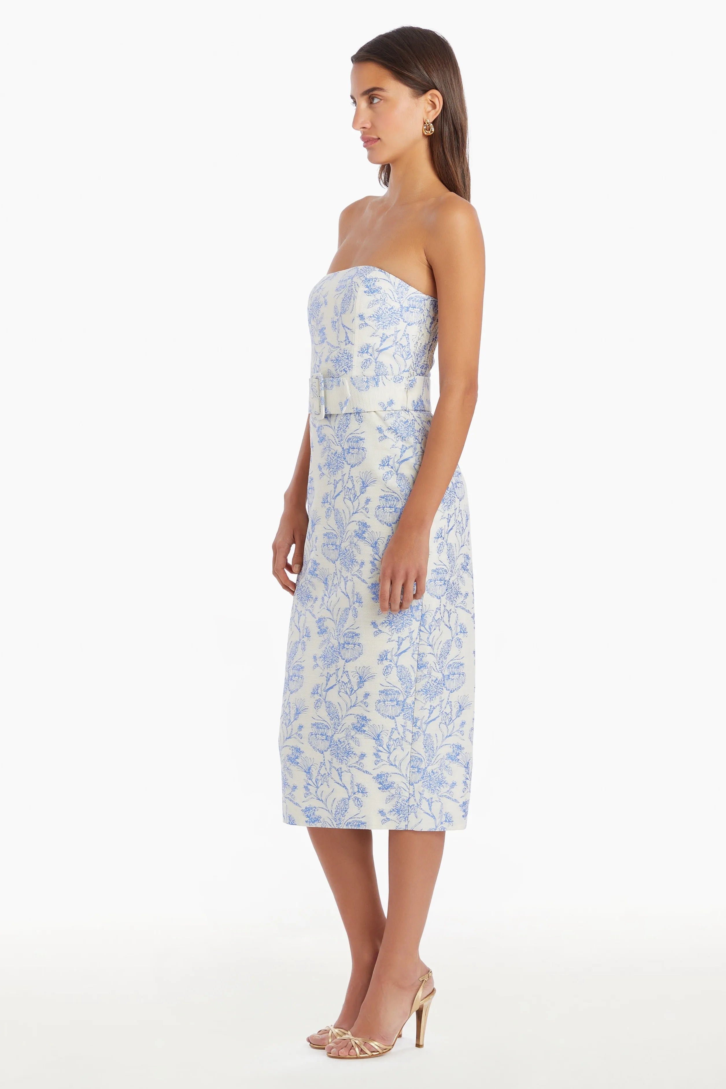 Fae Midi Dress In Toile Brocade