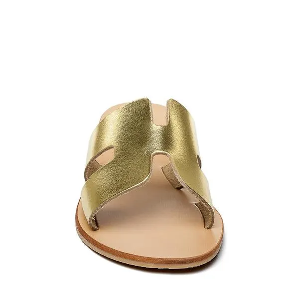 Grayson Slide  by Steve Madden